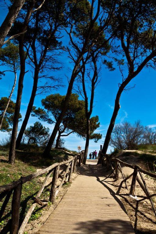 Casa Con Jardin-Wifi Free Βίλα L' Escala Εξωτερικό φωτογραφία